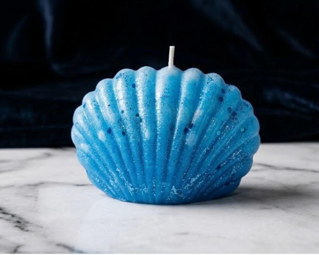 Vela de Concha Oceanica