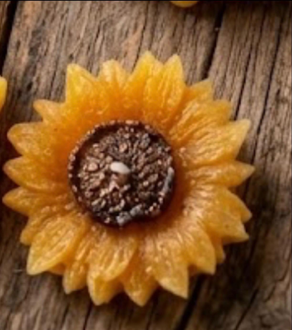 Girasol para Oshun-1
